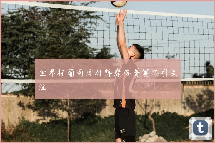 世界杯葡萄牙对阵摩洛哥赛况引关注