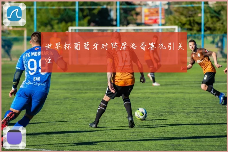 世界杯葡萄牙对阵摩洛哥赛况引关注
