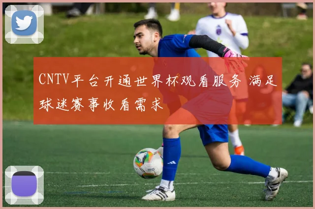 CNTV平台开通世界杯观看服务 满足球迷赛事收看需求