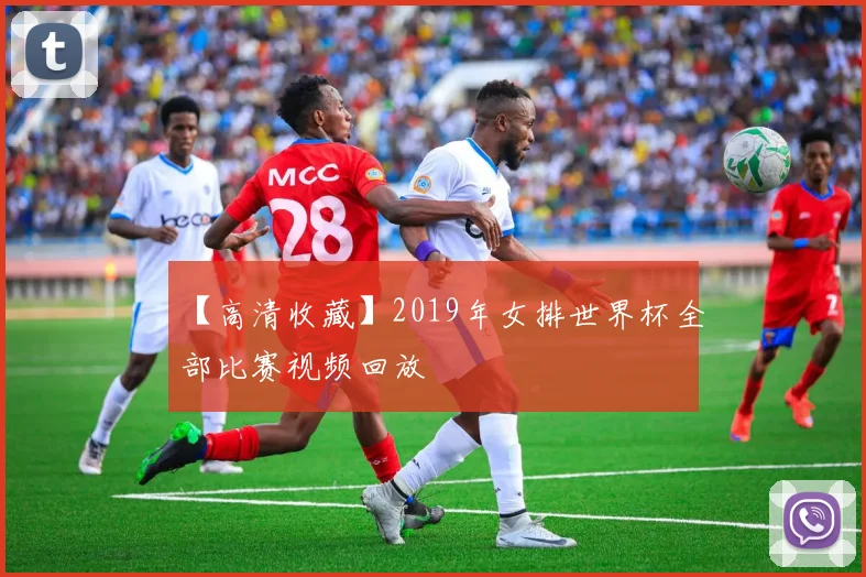 【高清收藏】2019年女排世界杯全部比赛视频回放