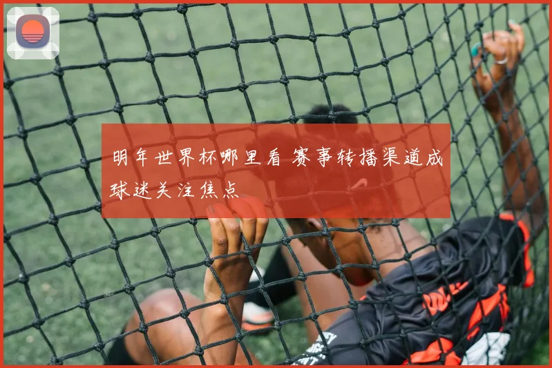 明年世界杯哪里看 赛事转播渠道成球迷关注焦点