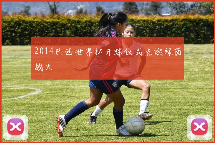 2014巴西世界杯开球仪式点燃绿茵战火